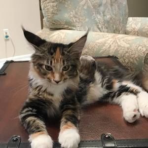 Meet your Posher, Rebecca